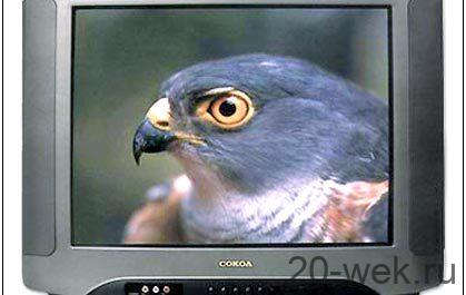 Сокол 51ТЦ-6153С